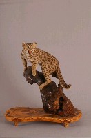 石虎藏品圖，第3張